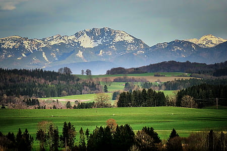 green leafed trees across mountain thumbnail