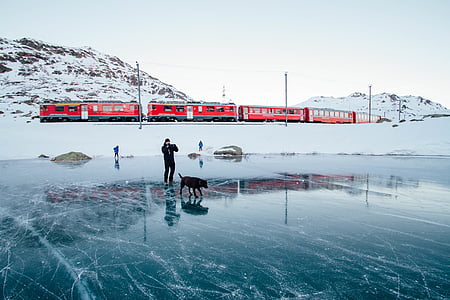 person and dog walking on ice thumbnail