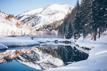 white and green trees and mountain during daytime thumbnail