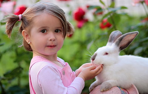 girl wearing pink dungarees holding white rabbit thumbnail