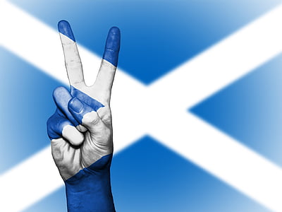 blue and white flag with peace hand sign thumbnail