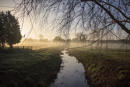 river between grass field thumbnail