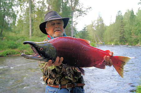 man holding monster fish in river thumbnail