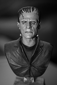 grayscale photo of Frankenstein headbust figurine thumbnail