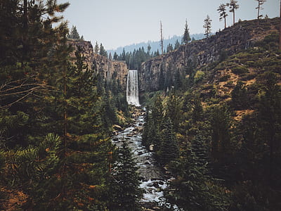 tree lined creek at daytime thumbnail