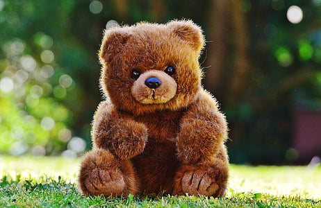 brown bear plush toy on green grass at daytime thumbnail
