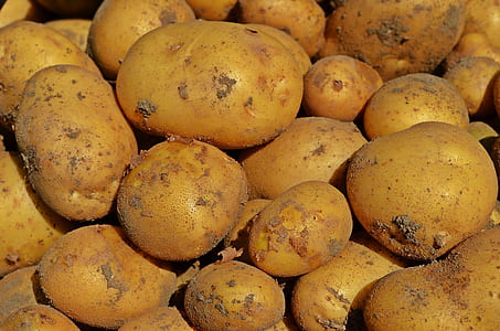 potatoes thumbnail