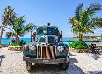 blue vehicle near green trees under clear blue sky thumbnail