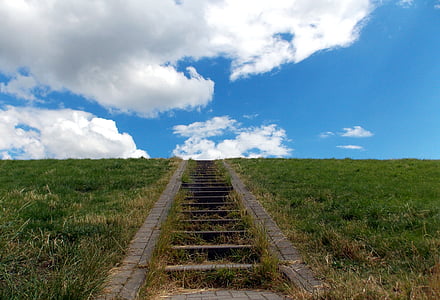 gray concrete stair surrounded by grass thumbnail