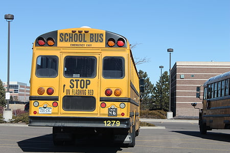yellow school buss parked on road thumbnail