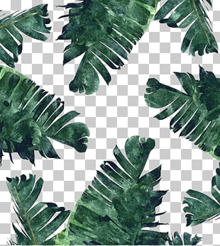 Banana leaf Canvas print Watercolor painting , Watercolor dark green banana leaf, banana leaf painting PNG clipart