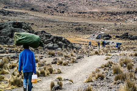 person carrying green bag thumbnail