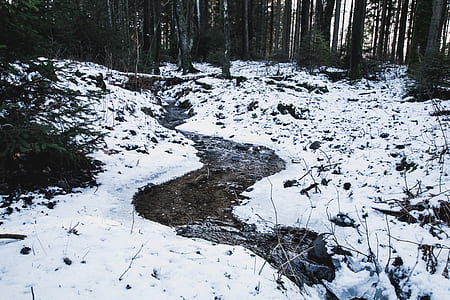 snow-covered trail thumbnail