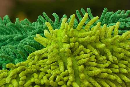 green and yellow sponge thumbnail