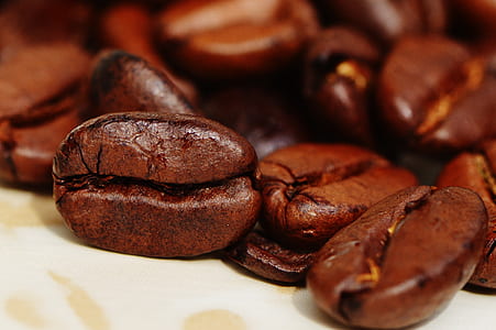 close-up photography of coffee beans thumbnail