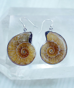 pair of hook earrings on white case thumbnail