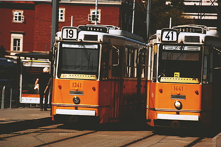 two orange-and-white tram at daytime thumbnail