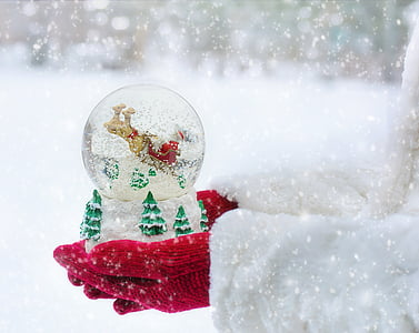 person holds brown deer water globe during winter thumbnail