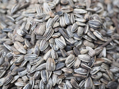 sunflower seed lot thumbnail