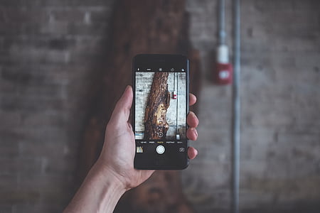 person holding black iPhone 7 taking photo of tree thumbnail