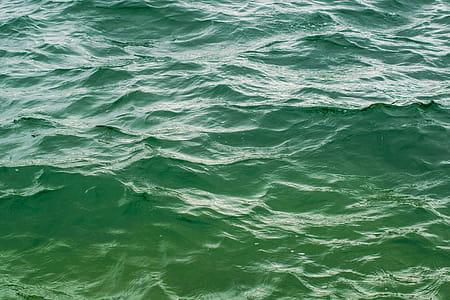 Green Body Of Water thumbnail