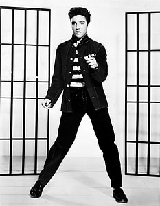 grayscale photo of Elvis Presley thumbnail