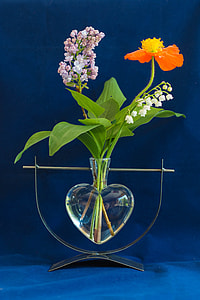 green leafed plant in clear glass vase thumbnail