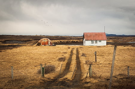 white and brown house under white cloud during daytime thumbnail
