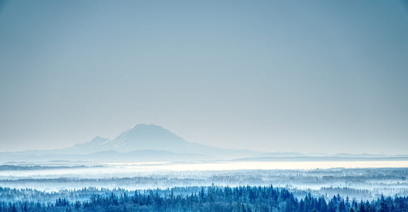 cold, snow, dawn, landscape thumbnail