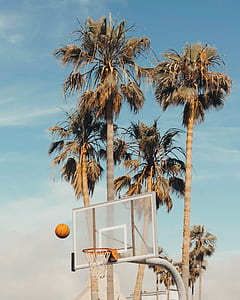 basketball coming to hoop thumbnail