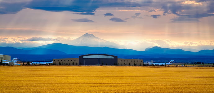 photo of white and gray concrete building during daytime thumbnail