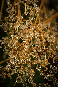 photography of water drops thumbnail