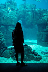woman standing on giant aquarium thumbnail