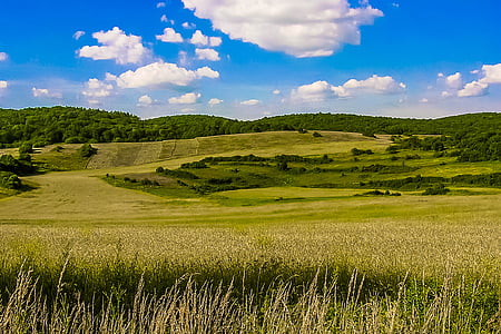 green grass field under white clouds at daytime thumbnail