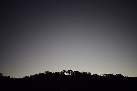 silhouette of forest during night time thumbnail