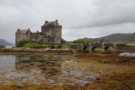 grey castle near body of water and surrounded trees thumbnail