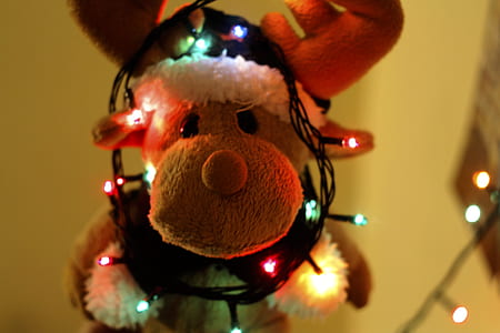 Close-up of Illuminated Christmas Tree thumbnail