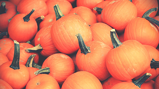 orange pumpkin photography thumbnail