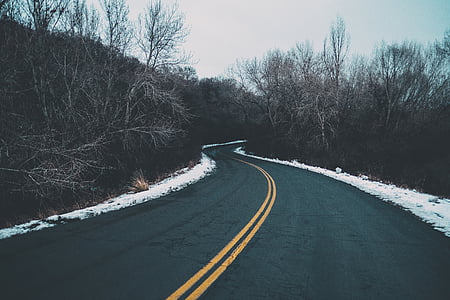 empty concrete road between bare trees thumbnail