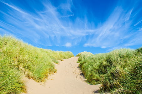 green grass field under sunny sky thumbnail