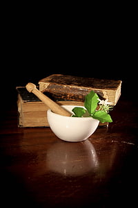 mortar and pestle with green leaves beside books thumbnail