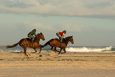 two person riding horse running on seashore during daytime thumbnail