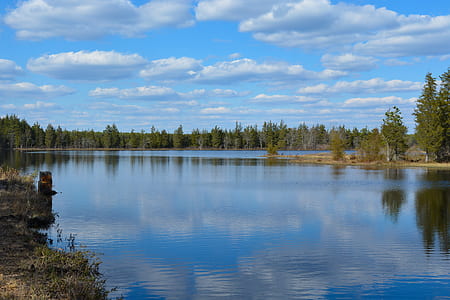 body of water surrounded by trees during daytime thumbnail
