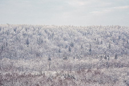 Beautiful winter landscape thumbnail