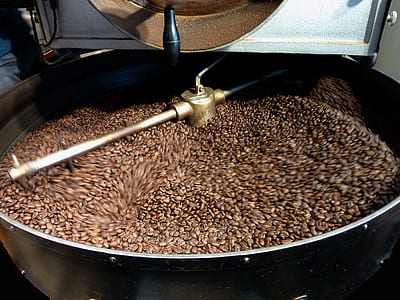 coffee beans on grinding macine thumbnail