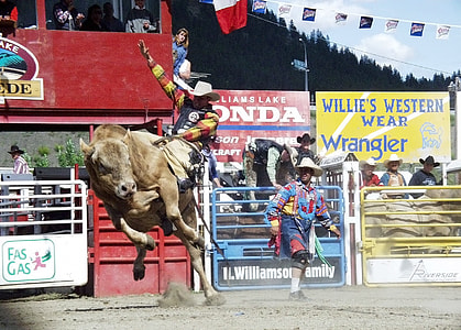 man riding bull outdoors thumbnail