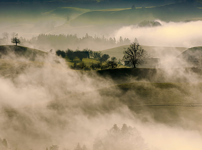 green grass covered hill surrounded by fogs during dawn thumbnail