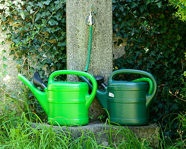 two green plastic watering cans beside green hose thumbnail