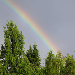 Rainbow, Natural Phenomenon thumbnail
