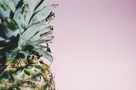 pineapple fruit close-up photography thumbnail